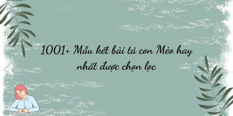 1001+ Mẫu kết bài tả con Mèo hay nhất được chọn lọc